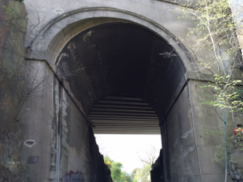 Rail Bridge - Forth Road Crossing